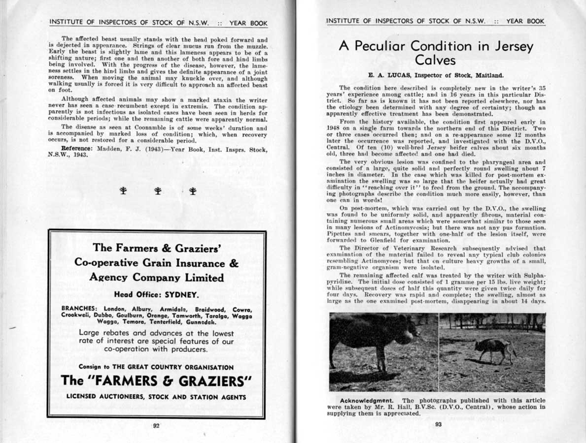 1949 Page 092 093